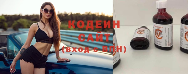 мет Няндома