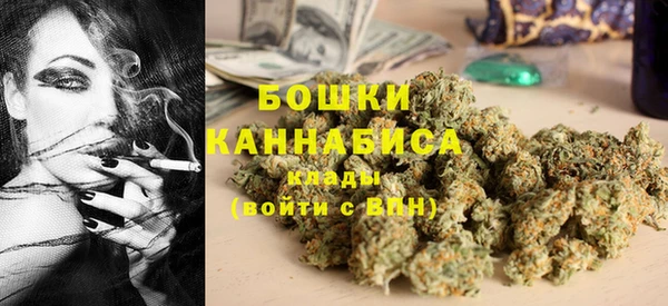 мет Няндома