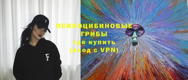 PSILOCYBIN Нягань