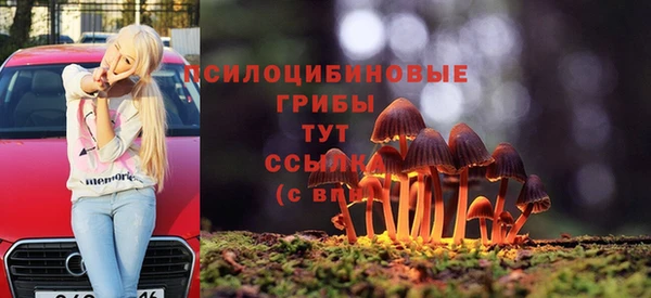 PSILOCYBIN Нягань