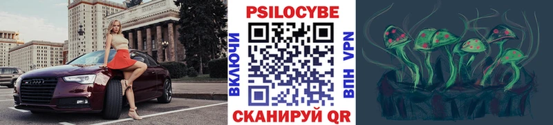 Псилоцибиновые грибы GOLDEN TEACHER  купить закладку  Энгельс 