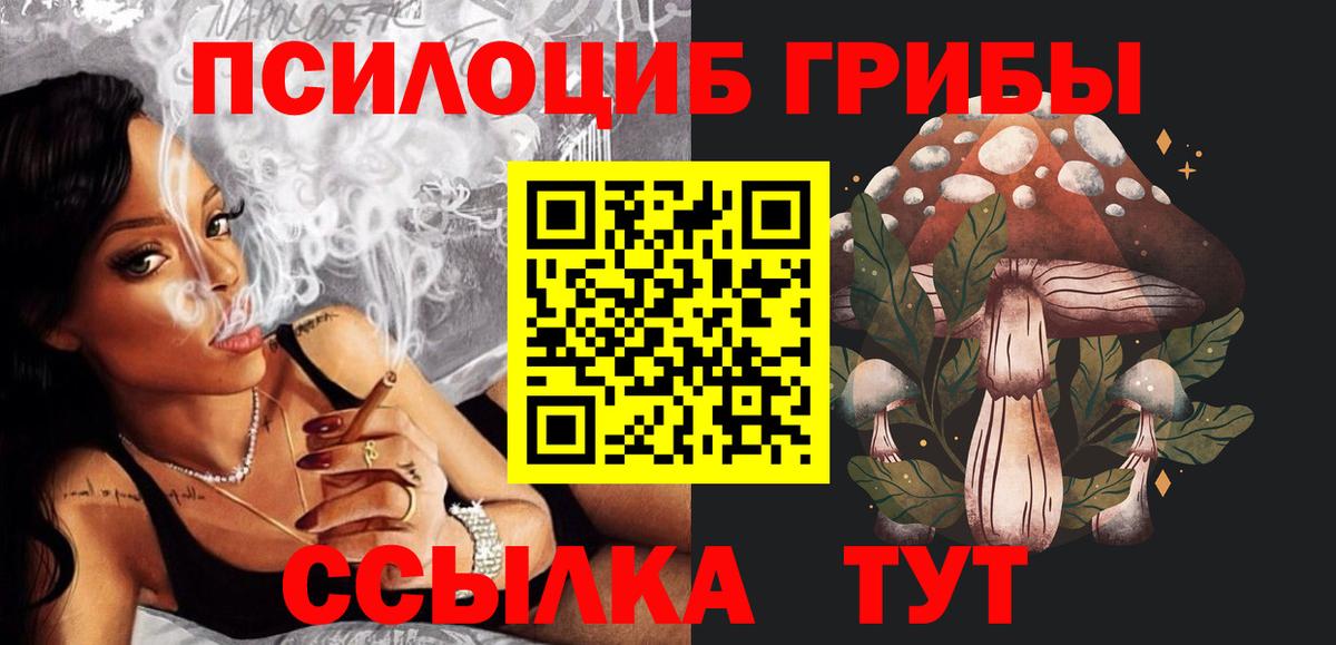 Галлюциногенные грибы Cubensis  Вход с VPN  Энгельс 